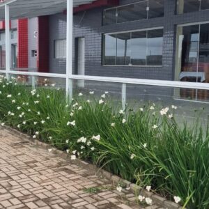 IMG-20251110-WA0062